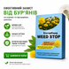 біогербіцид від бур'янів wstop MG05 фото 2